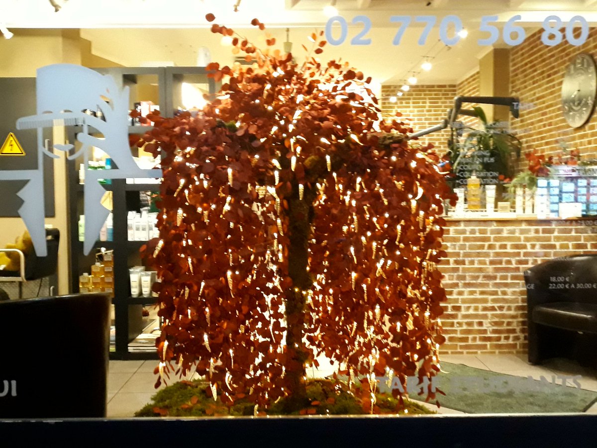 MarcBossche's tweet image. #christmasdecor#rudolfiscoming#santaclaustoo#eventdecor#party#seasonsgreetings#madefor#referencecoiffurebrussels#madeby#www.marcvandenbossche.com#withlove#