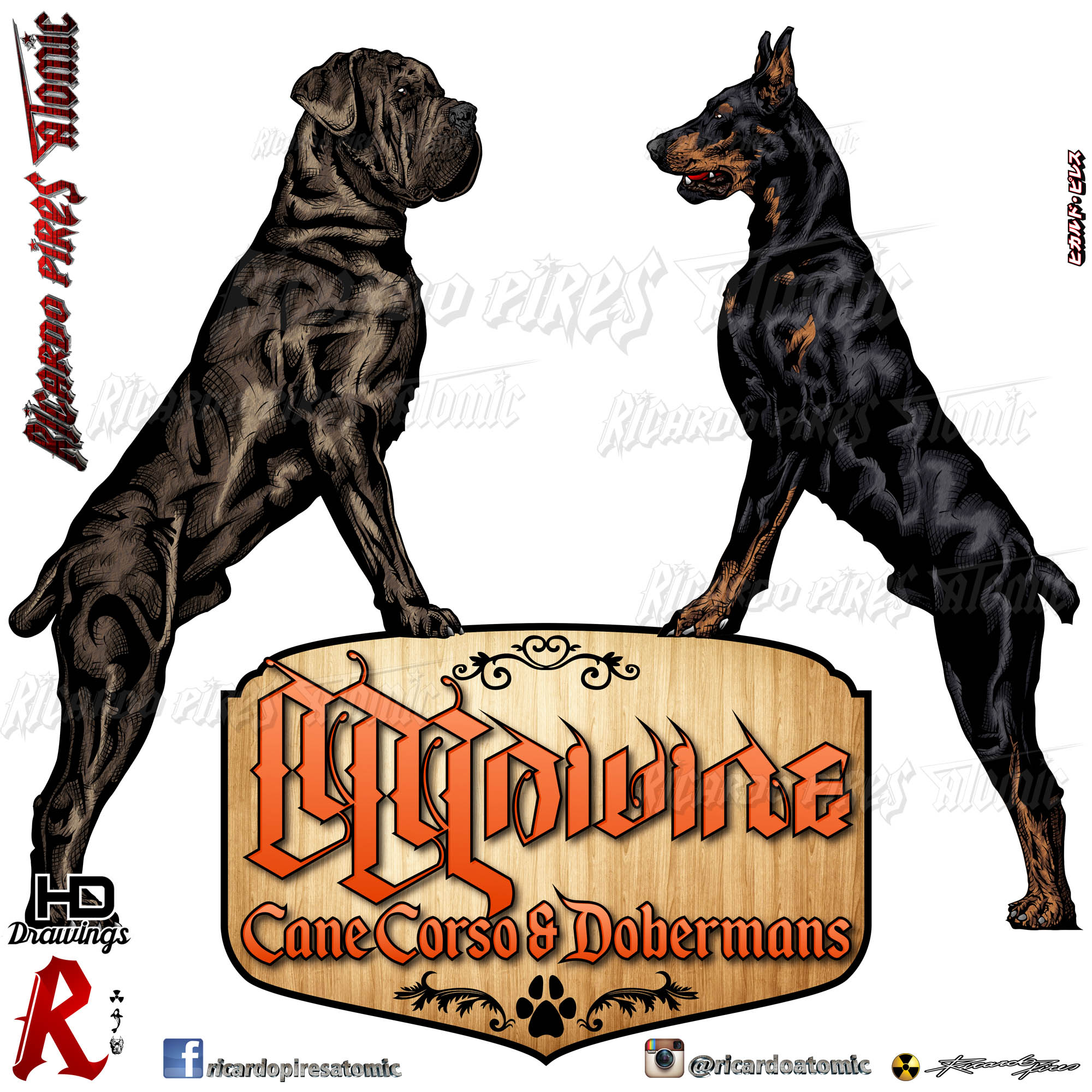 Doberman and hotsell cane corso