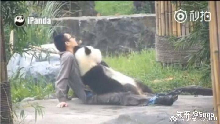 albadri_x's tweet photo. Jelesnya aku dengan kerja kau. 
Aku nak juga masuk kerja lepak dengan panda tenung awan kongsi masalah sampai petang https://t.co/9M5vwOWuu8