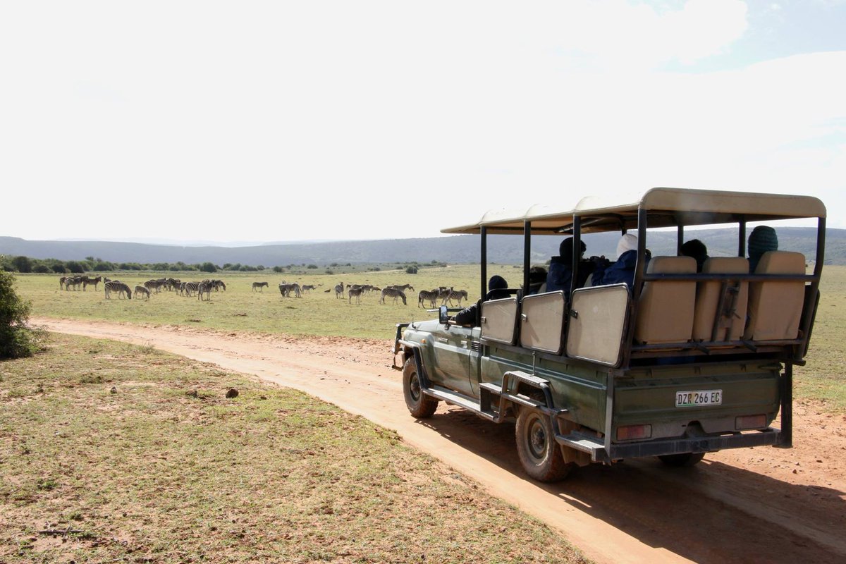 GAP__AFRICA's tweet photo. What a way to spend the day! Students at Shamwari Game Reserve observing the Zebra herd. There are three different species of zebra, can you name them? #gapafricaprojects #vnlife #prevetstudent #vetnurse #academicfieldtrip https://t.co/MqnlpcyuwX