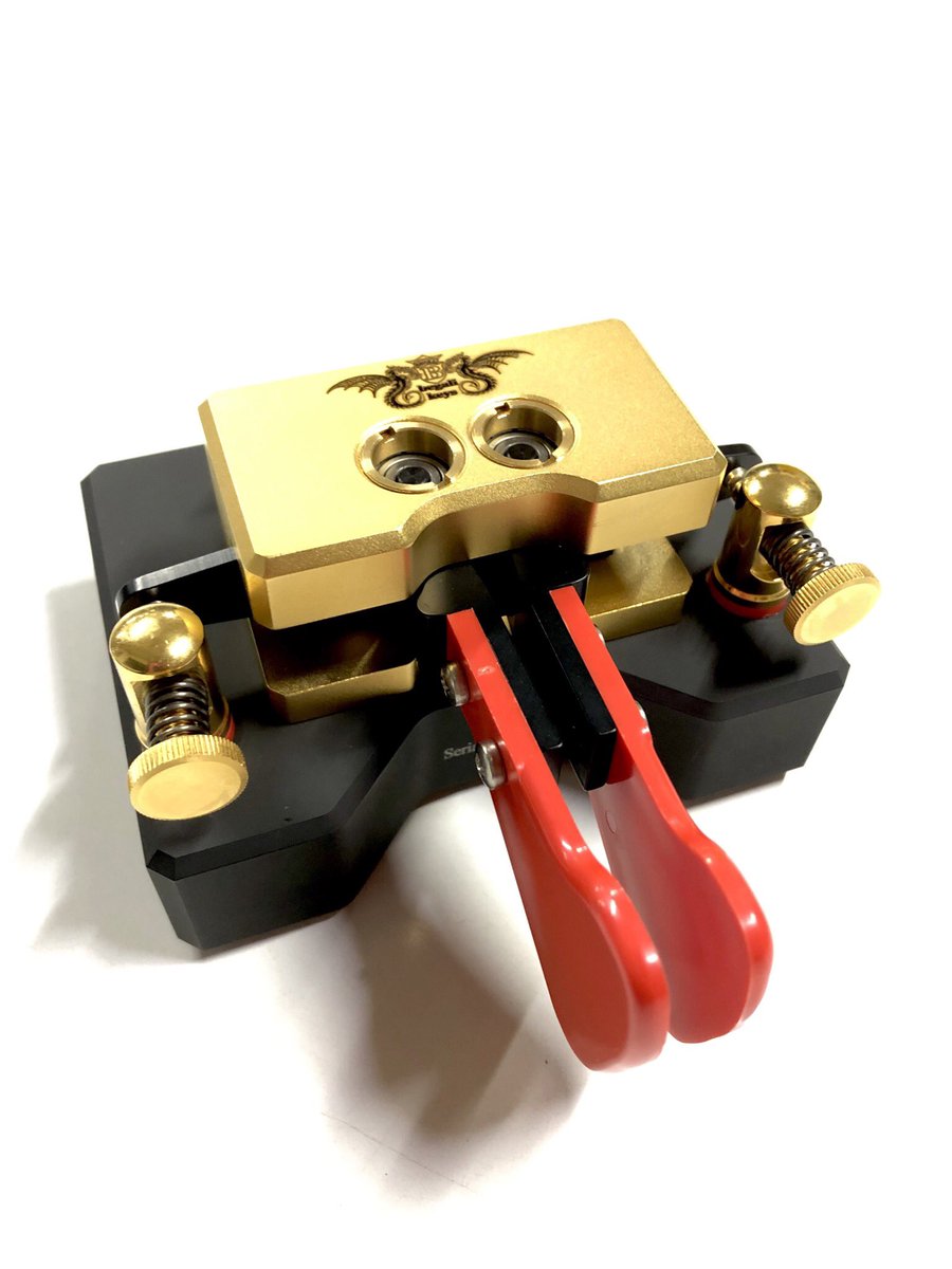 Bruna Begali tweet media