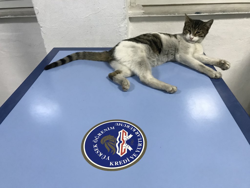 Daha erken biraz daha uyumak istiyorum