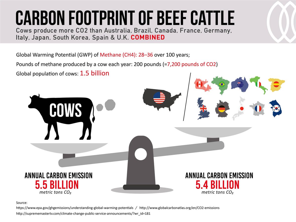 MrGeographer's tweet photo. Cows produce more CO2 than 🇦🇺 🇨🇦 , 🇧🇷 , 🇫🇷 , 🇩🇪, 🇮🇹, 🇯🇵, 🇰🇷, 🇪🇸 and 🇬🇧 COMBINED 🌍 

#geography #geographyteacher #carbon #meat #Vegetarian https://t.co/w2EJpTOPR7