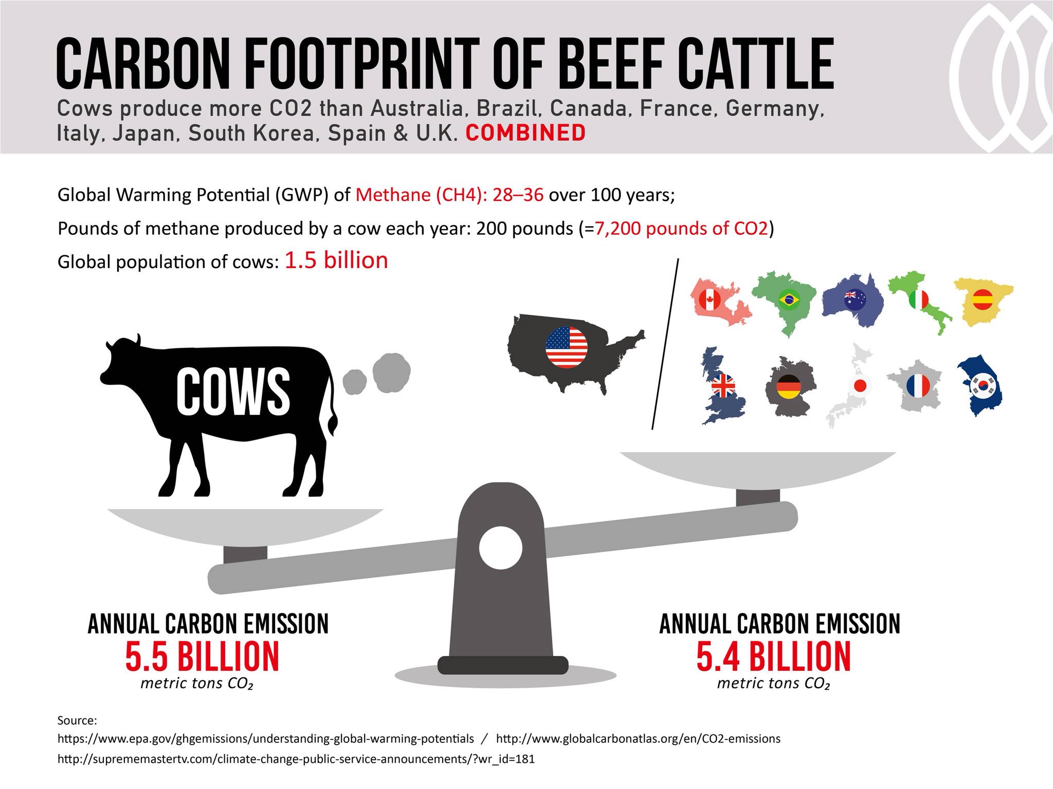 Cows Carbon Dioxide Tracsc