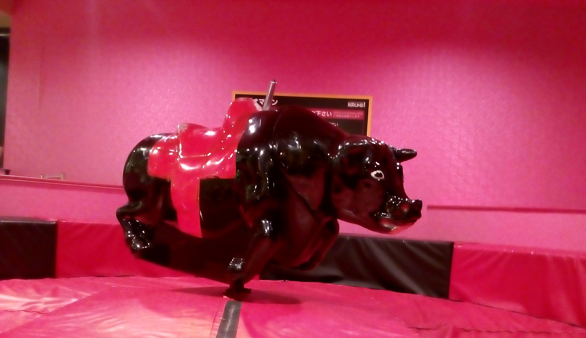 牛の乗り物 牛の乗り物