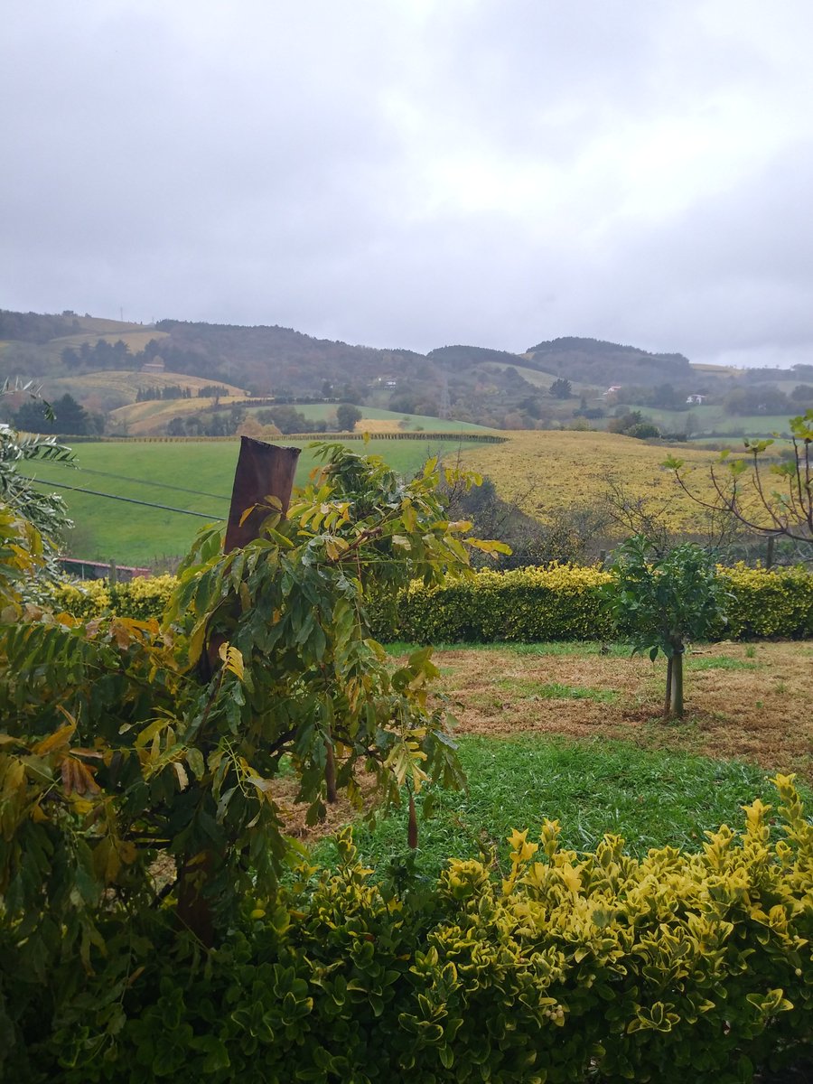 B_gaintza's tweet photo. Maite ditut maite gure bazterrak. (Mikel Laboa)
Harek bai jakin nola deskribatu maite dugun lurra.
#Gaintzako jardina
#Gaintzahobizi #Euskaraldia #Euskaraldiagetaria #Ahobizi #Belarriprest #11eguneuskaraz #euskara #zabaldu #euskarazbizi #aktibatu #mingaina #belarria #prestatu https://t.co/UsGNBjiR5b
