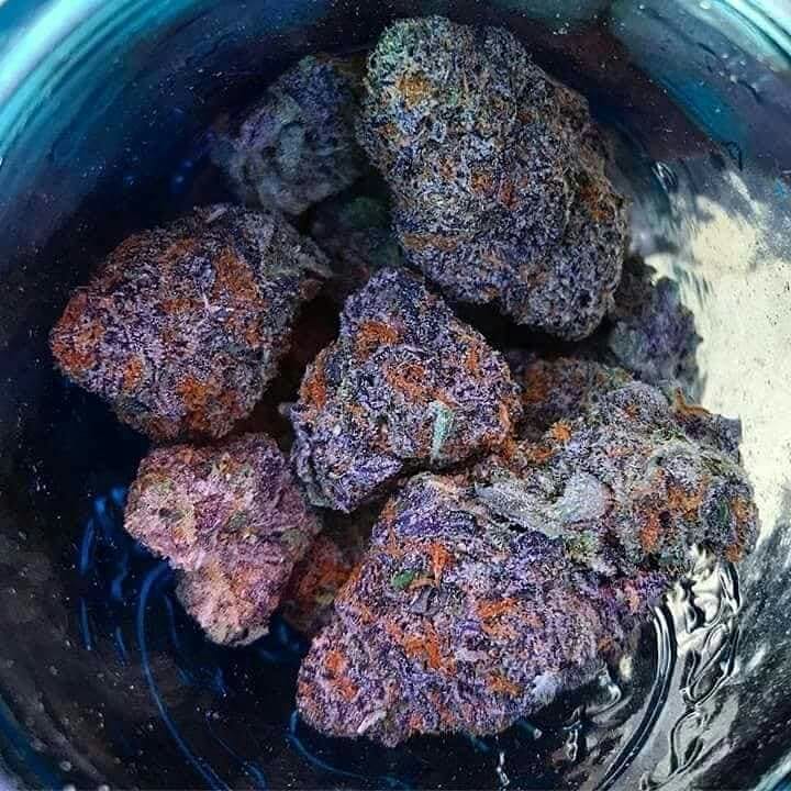 Jake42017's tweet image. Smoke Top Quality Medical Marijuana.