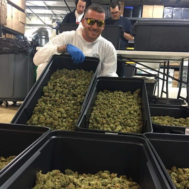 Jake42017's tweet image. #smoke #Top #Quality  #Medical #Marijuana