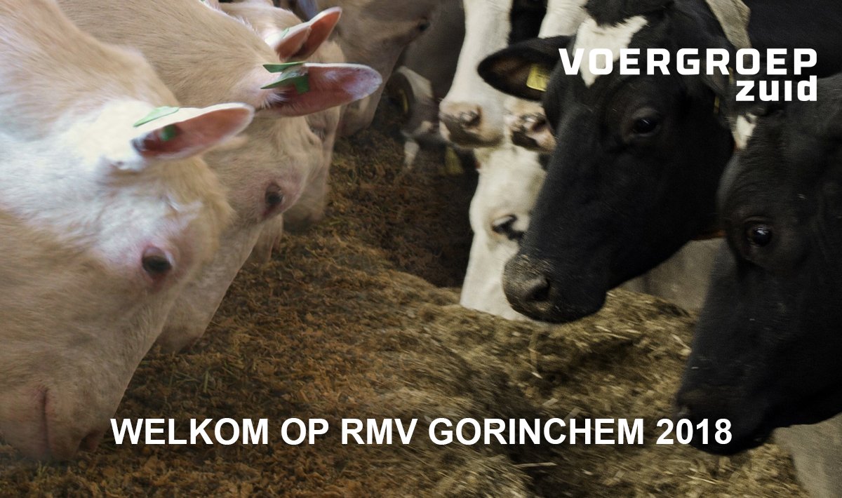 Maatmineralen zorgen voor optimale resultaten. Voergroep Zuid maakt het een stuk makkelijker om dat te bereiken. Bezoek ons tijdens de RMV in Gorinchem van 27 t/m 29 november. Wij leggen u graag uit wat het voor uw bedrijf kan betekenen. U bent van harte welkom op stand 107.