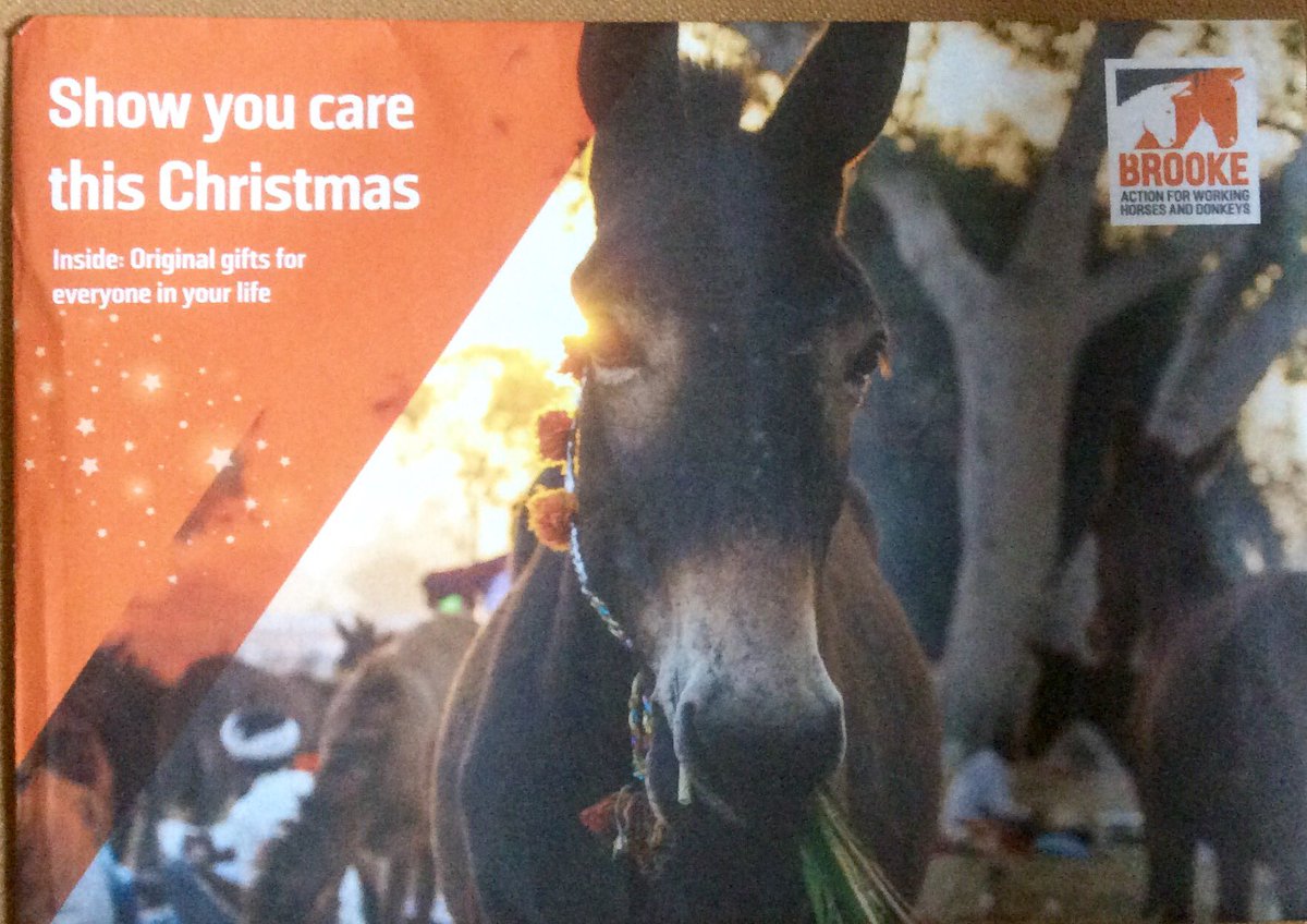 On #charitytuesday will you support <a href="/TheBrooke/">Brooke 🐴🧡</a> with a Christmas present from The Brooke for a loved one