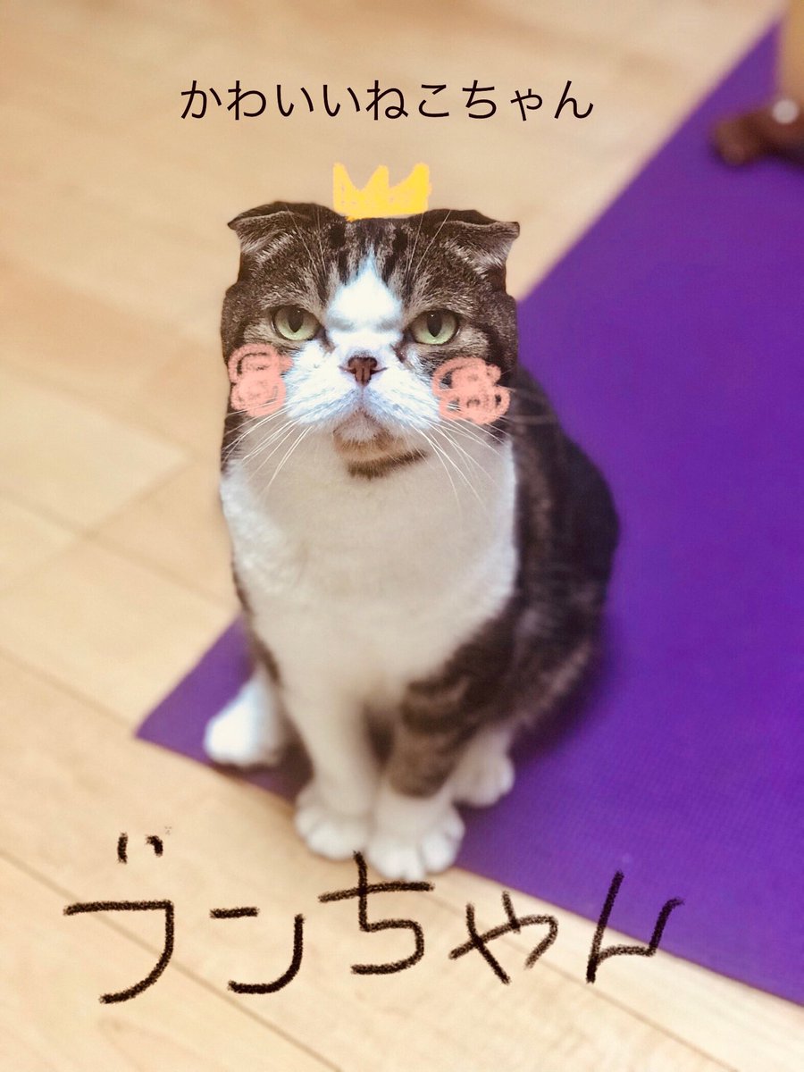 「できた! 」|羽海野🌸根付鈴4/9迄受付中です🍓のイラスト