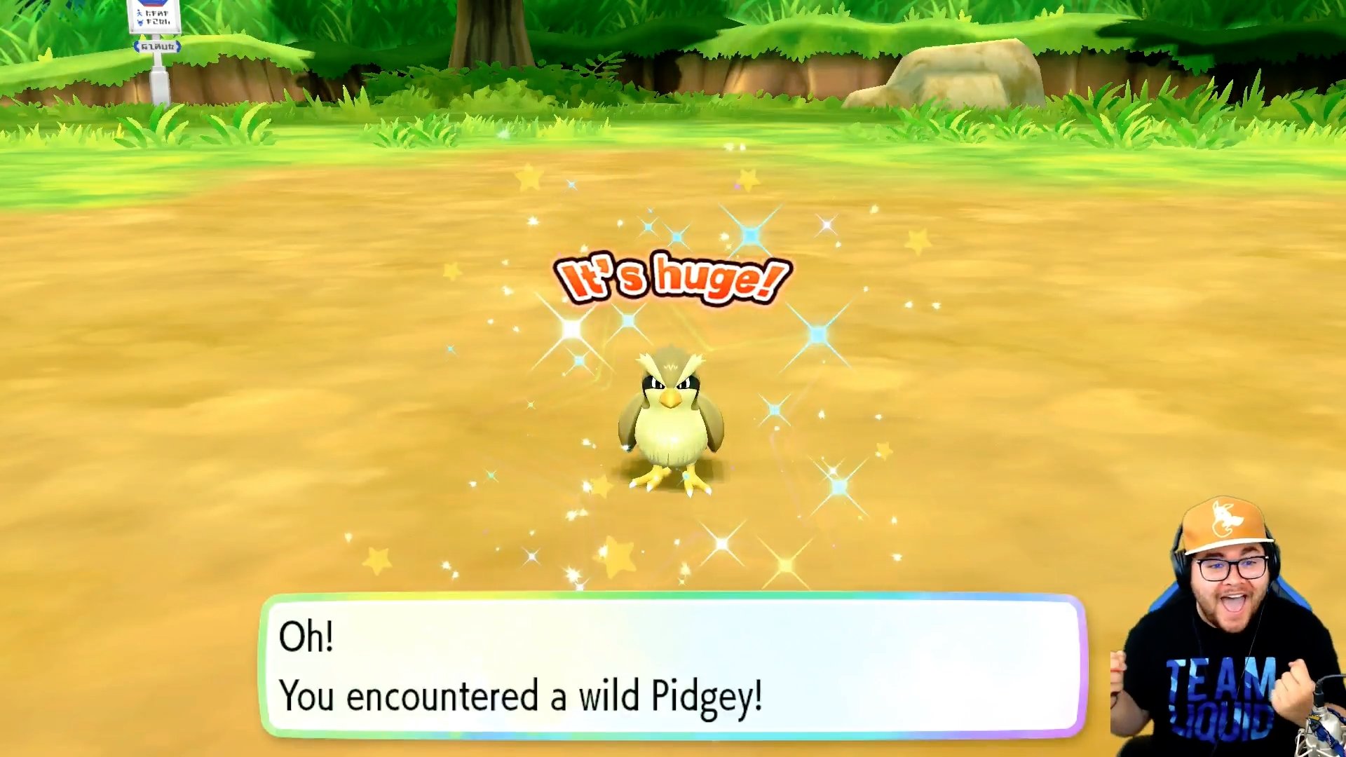 Reversal En Twitter Shiny Pidgey After 249 Encounters Pokemonletsgo Pidgey Pokemon Pokemongo T Co Algvqohahe Twitter