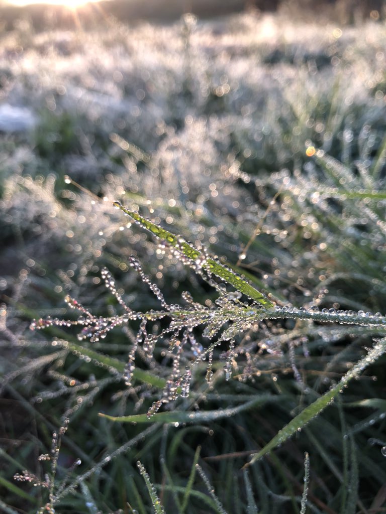 ghai567's tweet photo. صباح الجمال.❄️ https://t.co/oxOzIBBVLQ