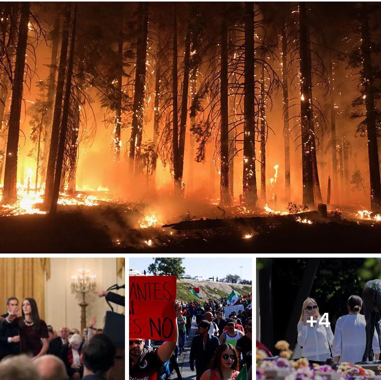 NotiGrupo1's tweet image. NOTIGRUPO’S NEWSCORNER, #WhiteHouse restores #CNNreporter’s pass notislp.info/2018/11/19/not…