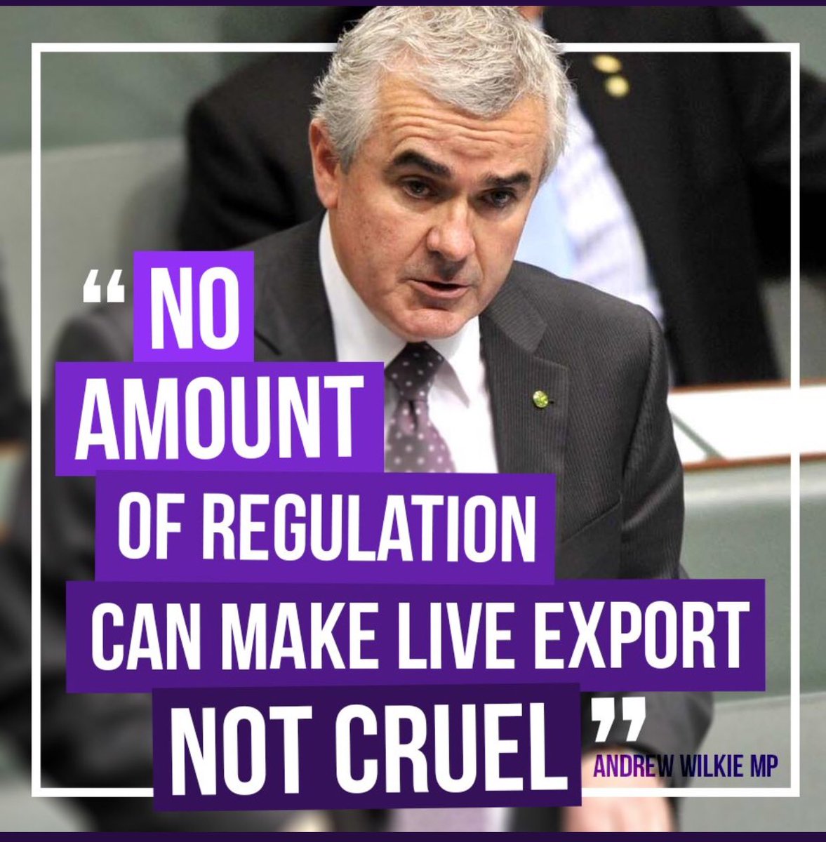 Gail7175's tweet photo. .⁦@D_LittleproudMP⁩ #EndLiveExport #MossReport #LiveExportCruelty https://t.co/9152P5mNZ1