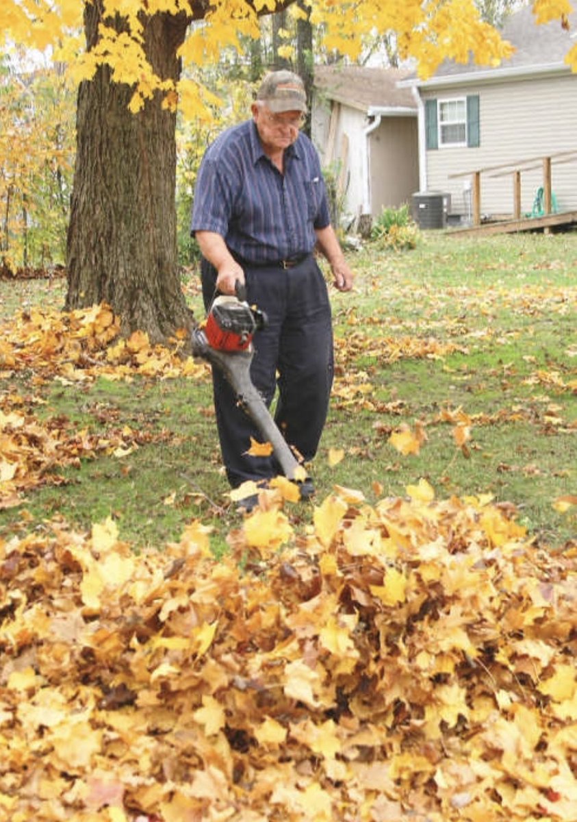 michelewith2Es's tweet photo. #RakingAmericaGreatAgain #leafblow https://t.co/ntu1aje3P5