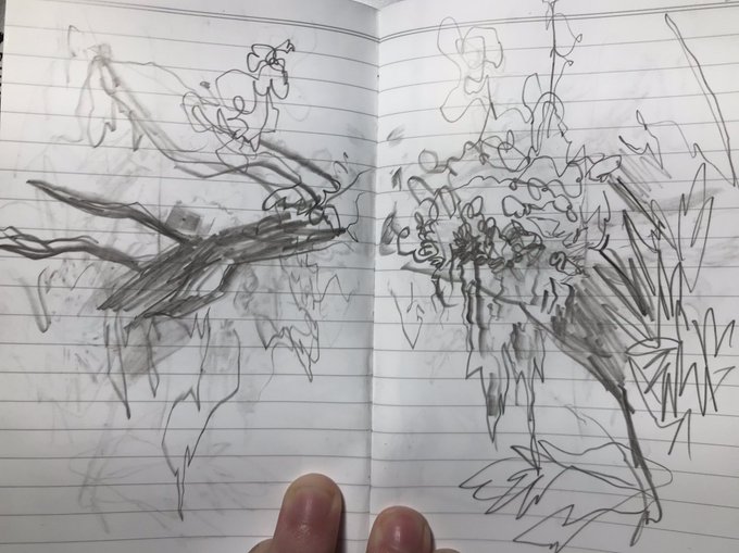 this was not under water but im slightly obsessed with spanish moss 