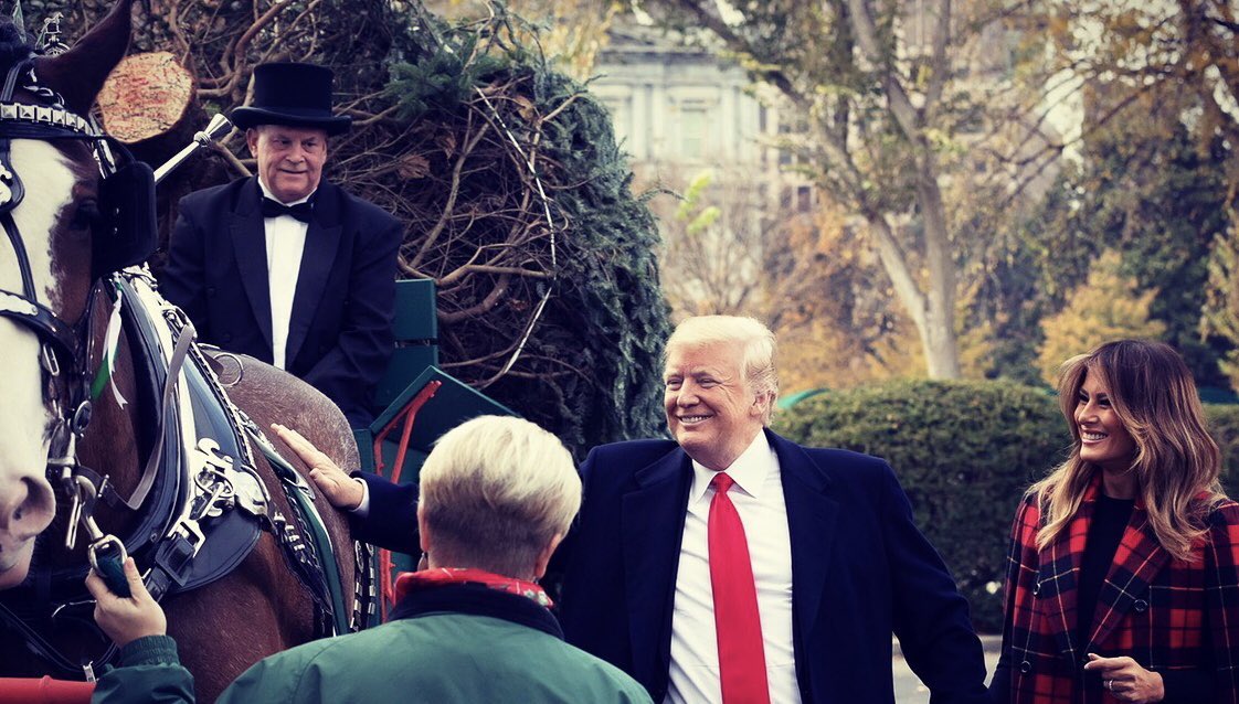 FreelsCl's tweet photo. #DEW #FFs #TheHAMMER #Qanon #realDonaldTrump #BestPresidentEver #WWG1WGA #MAGA2KAG #FISA_DECLAS #HVTsToGITMO https://t.co/MvNBlg9XD4
