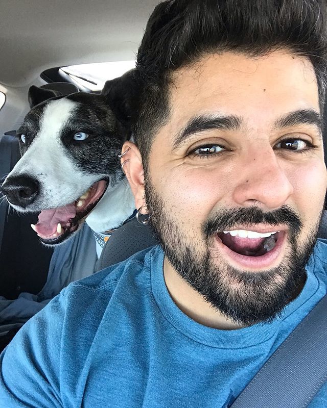 SFLukeStyle's tweet image. When you lose one of your furry friends, you take the other...EVERYWHERE. ift.tt/2A5b6vG