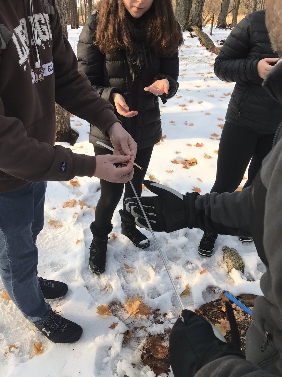 SBeckerEES's tweet photo. Taking samples from sugar maples (Acer saccharum) in lab today! We had a little difficulty with some of our trees, but ended up getting some great samples. #ees152 https://t.co/qffsXm6DMv