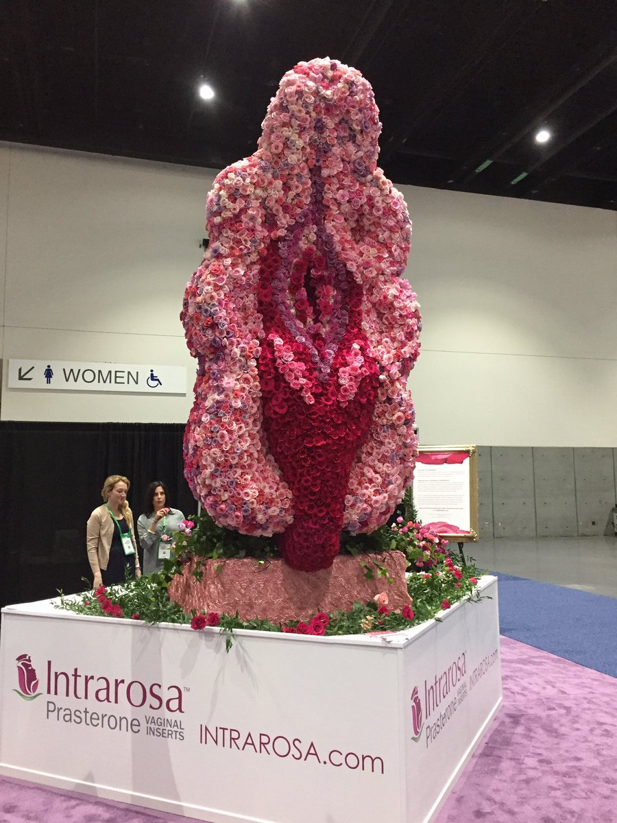 gwendolynrain's tweet image. #IWasntWarned #Essure would break my vagina. #BrokenVagina But nice sculpture #ACOG Mine certainly doesn’t feel all flowery right now! 😡