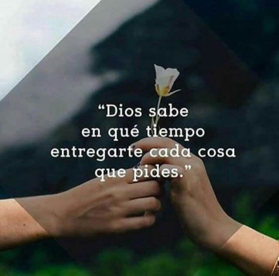 _angelitacor_'s tweet photo. #Dios #sabe #tiempo #entregarte #cosa #pides https://t.co/qKRqyeWzM0