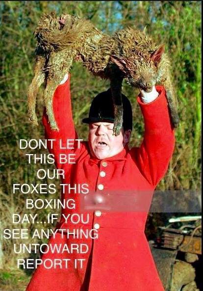 wendzedin's tweet image. #HUNTING #BanHuntingWithDogs #Foxes facebook.com/10000053112236… @PeterEgan6 @rickygervais @The_Animal_Team @Animal_Watch