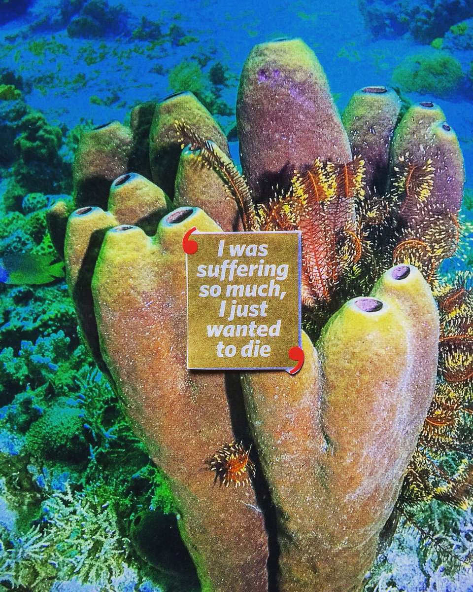 Anthr0pocalypse's tweet photo. Hot off the press! #CoralConfessions An exclusive interview with Australia’s infamous natural wonder: #TheGreatBarrierReef. Explosive water temperatures revealed in this tell all tale of hardship, betrayal and distress... #BiggestBombshellEver
@ProfTerryHughes @p_hannam https://t.co/a2TmiF8SB6