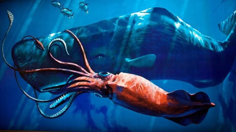 32. The colossal squid not only has one of the largest eyes in the world but can be as long as a bus.