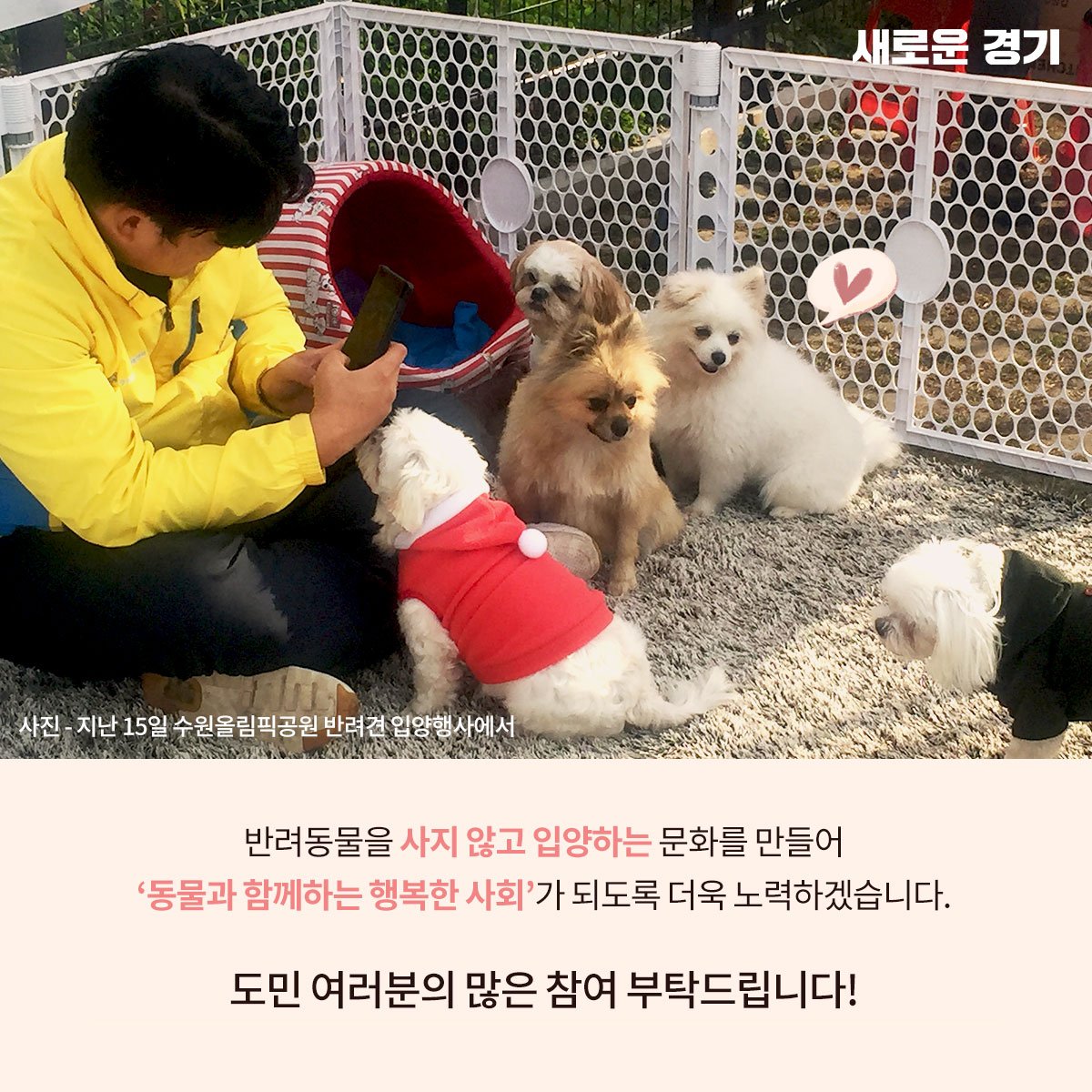 반려견 입양을 고려하고 계신가요?🐶 매주 목요일 경기도 #도우미견나눔센터 반려견 입양 행사에 참여하세요! ◈ 1, 3주차 목요일  #광교호수공원 ◈ 2, 4주차 목요일 #수원올림픽공원 #사지말고입양하세요 #반려견입양 #유기견 #유기견입양, image size:1200x1200