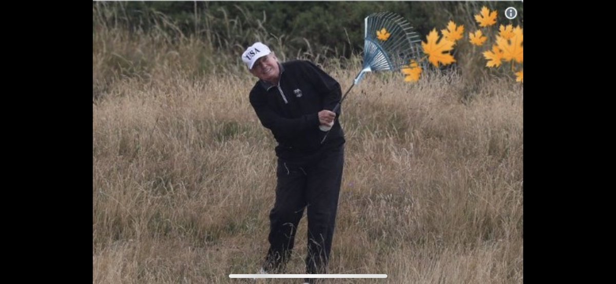 Make America Rake Again - Forest Trump