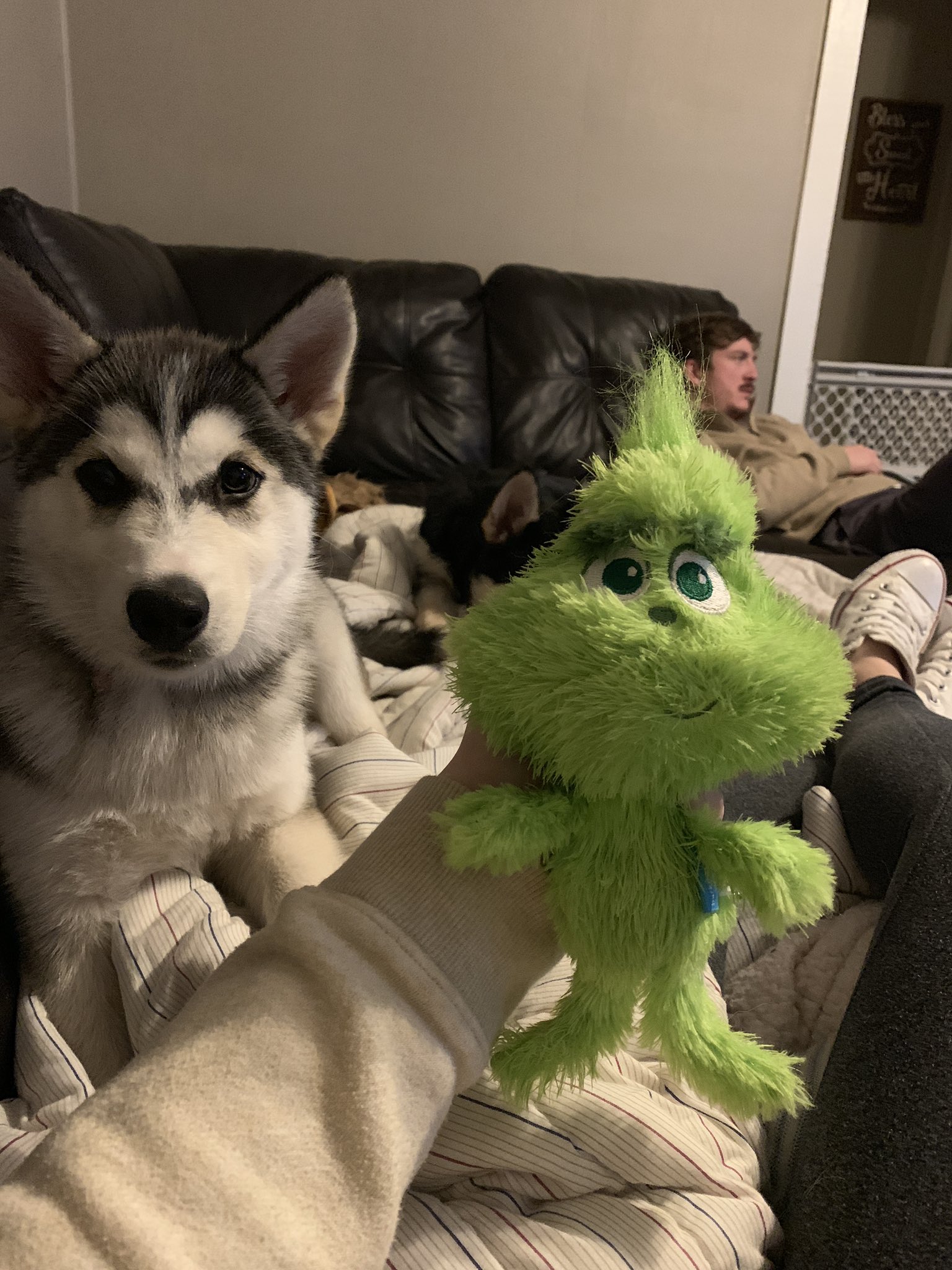 Baby grinch sales dog toy