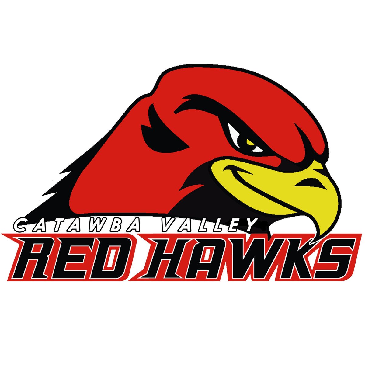 #NCcommits
Congrats to 2019 Catcher Wyatt Bradley (@CHSbasebalsquad ) on his commitment to <a href="/CVCCBaseball/">CVCC Baseball</a>