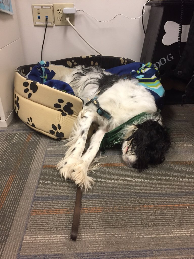 GES_Jiggs's tweet photo. Ugh, Mondays https://t.co/lSScr8f2lC