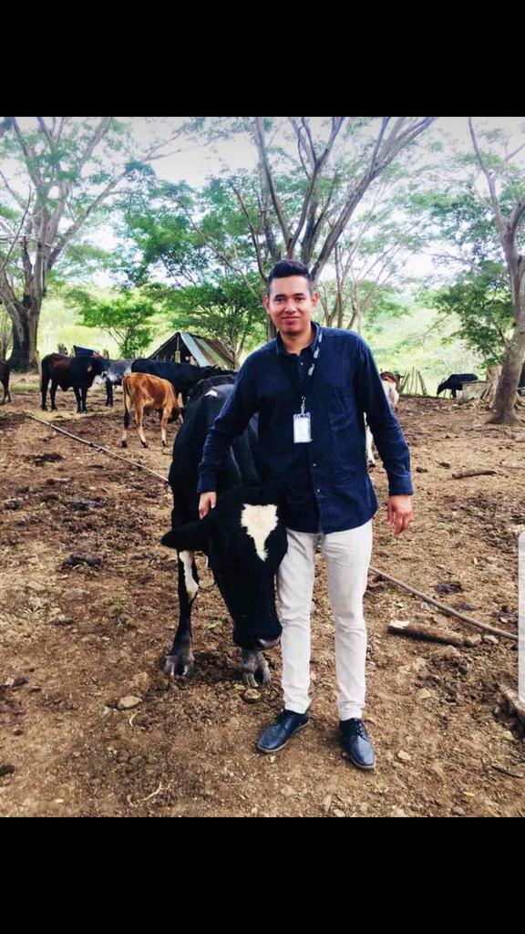 loanyvindel's tweet photo. Visita a Finca a  productor del Proyecto Aprovechando el éxito. 
Brindando asistencia técnica, aplicación de antibiótico vía intramuscular, Diagnóstico de su ganado lechero.

Equipo de Tecnicos de Ganadería y Lácteos, Olancho.
@HeiferHonduras @Heifer https://t.co/CrJRxQ2J8c