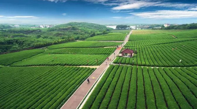 WuxiCity's tweet image. Have you ever been to the Longchi Mountain Bicycle Park in Yixing, #Wuxi? It’s the perfect spot to go for a bike ride and breathe in some fresh air!