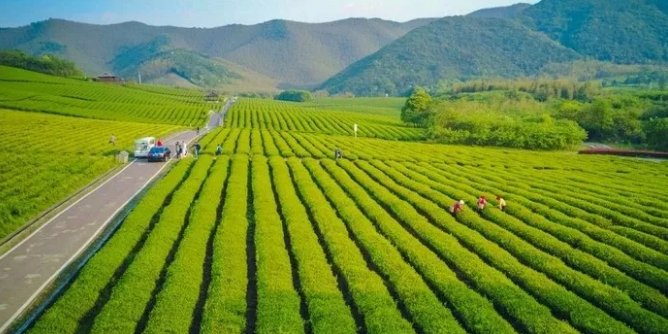WuxiCity's tweet image. Have you ever been to the Longchi Mountain Bicycle Park in Yixing, #Wuxi? It’s the perfect spot to go for a bike ride and breathe in some fresh air!