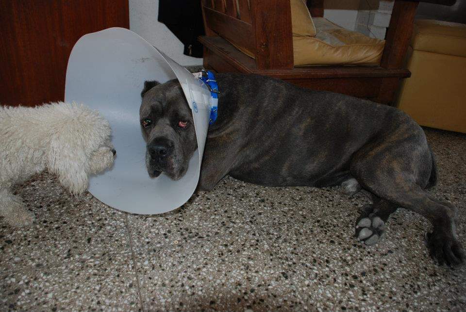 Mari Cibertropa A Full On Twitter Me Recuerda A Mi