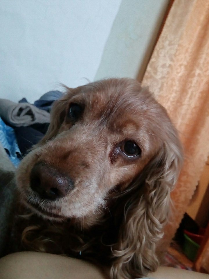 Sem30VL's tweet image. Знакомьтесь, май Литл бэйби Аделина