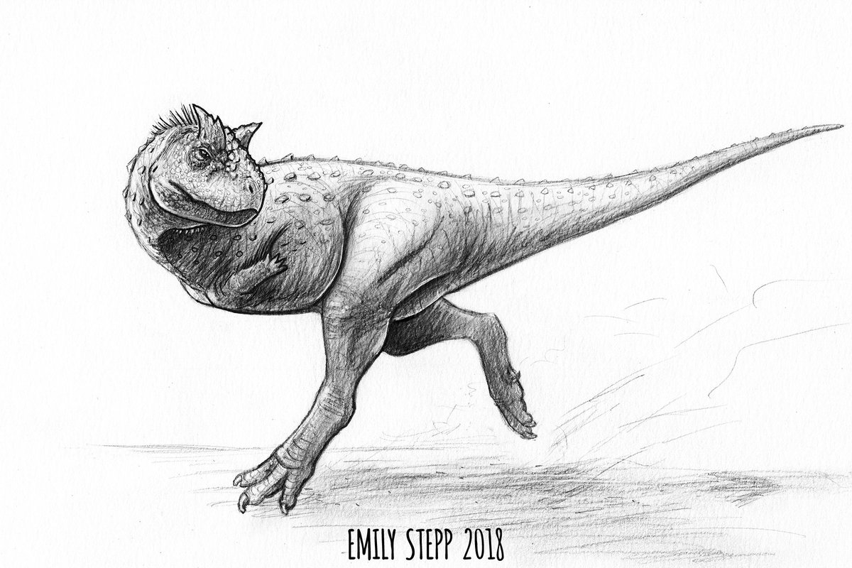 Featured image of post View 16 Carnotaurus Drawing Images
