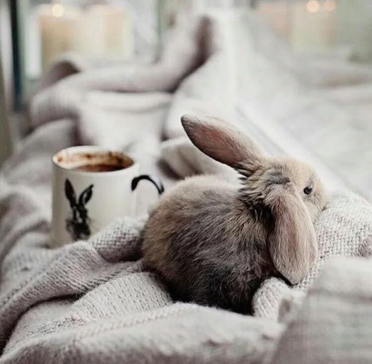 JustynaWasiewi1's tweet photo. Bezaubernde😘ruhige☀️liebevolle🌷🌸🌷Wärme😘💐💛enntspante🙆wunderschöne🌸❤️🌸Morgen ihr Liebsten💖mit gute Kaffee oder tee🍵☕🎆😍 https://t.co/5azyFV7Jiw
