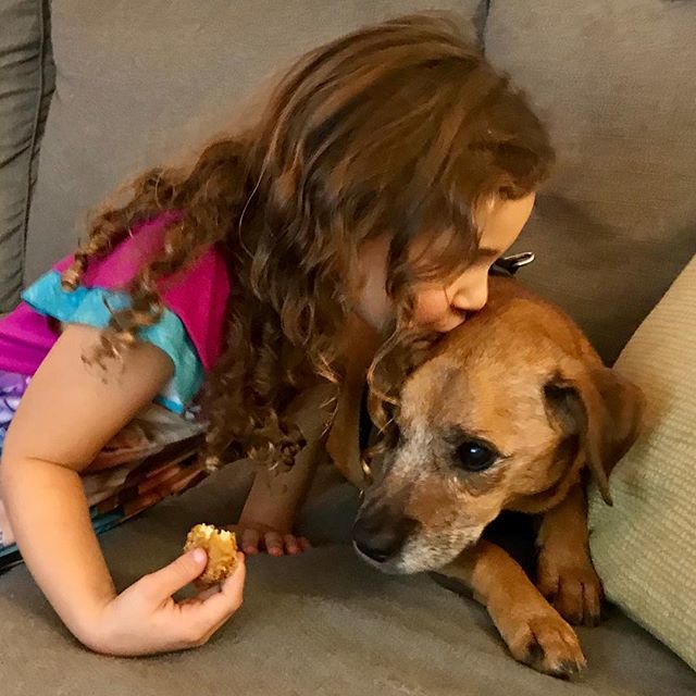 MrCraigBierko's tweet photo. “Interesting point about unicorns. So, listen, kid, - here’s the deal: you can give me the cookie or the cookie and the hand.” #yourdailyboo #pet #dog #dogsofinstagram #childrenof_instagram https://t.co/TFtgMRfKup https://t.co/XFJMHtACqJ