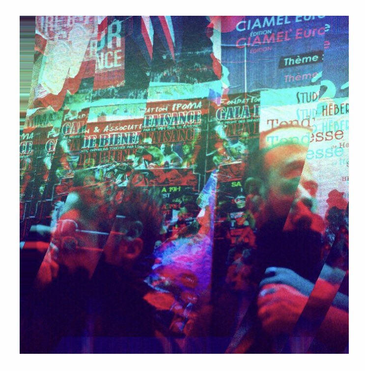 Mainecoonmusic tweet media