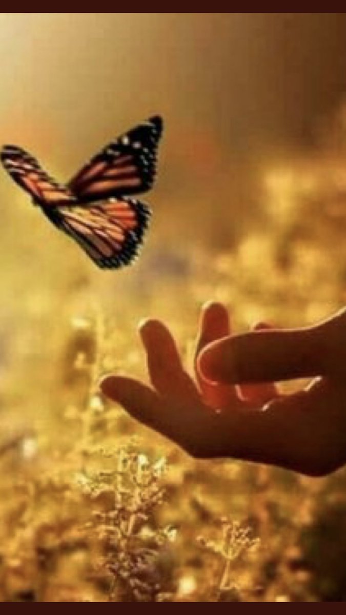 AngelAngelopou1's tweet photo. ✨✨ good morning to my fantastic friends around the world🌎Best wishes for a  very healthy 🌟peaceful day filled with love and joy✨✨💫✨💫 https://t.co/UeEz4081ih