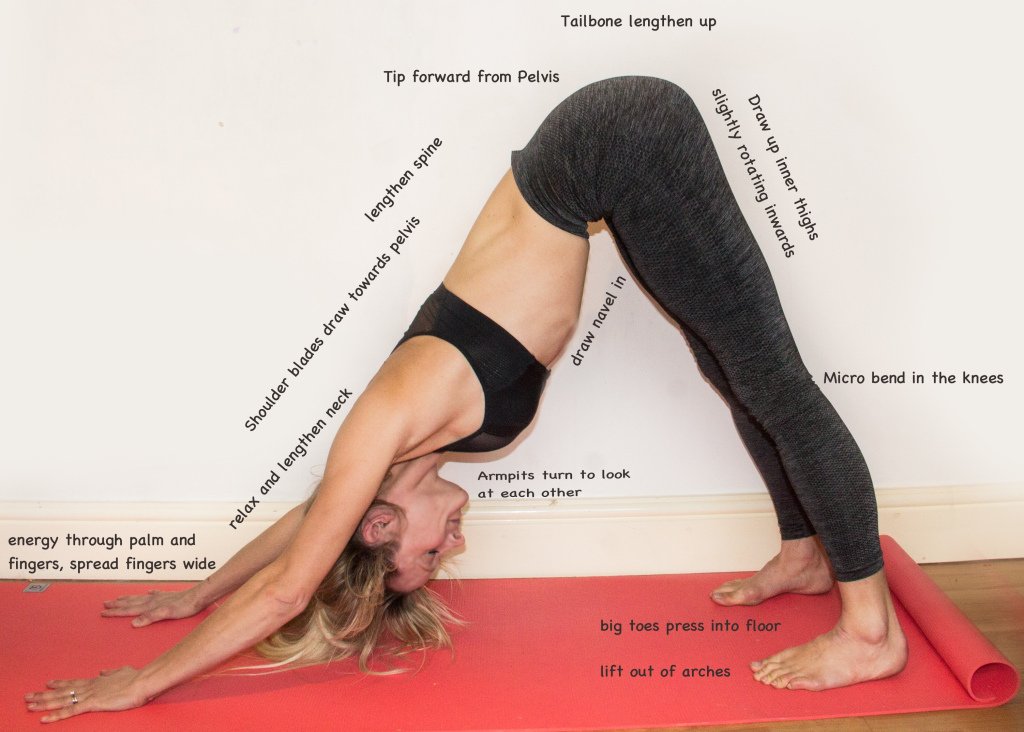 kerrystammers's tweet photo. Grounding Gravitas -Downward dog https://t.co/bDG04B0n25 https://t.co/nOgQDL09hT