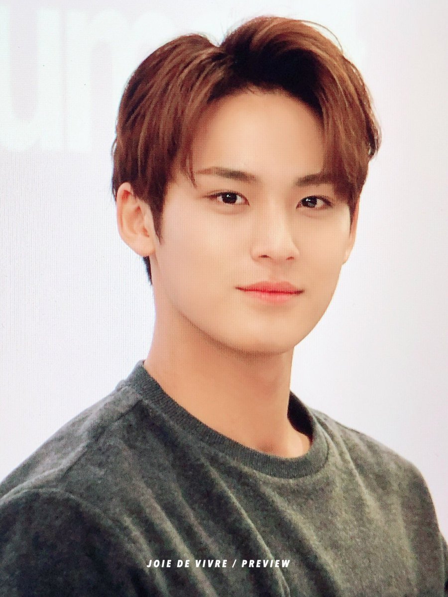 MINGYU HAS STUPID FACE | allkpop Forums