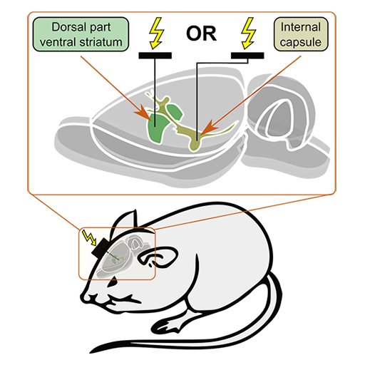 read coupled bioluminescent assays