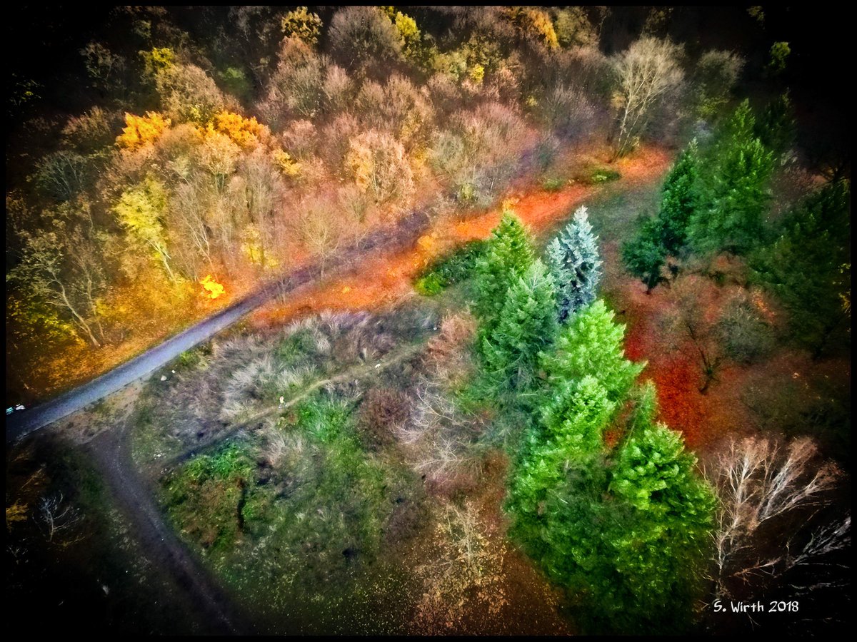 wirthstef's tweet photo. #treetops with a #pathway with #forestground in the #urban #park #Schönholzerheide in #Berlin #November #2018 Copyrights #Stefan #F. #Wirth
#landscape #trees #drone #quadcopter #flying #airperspective #birdperspective #Breeze #yuneec #photography #photographylovers #photographer https://t.co/VZlOcRe6f0