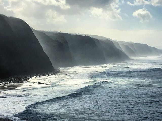 TrueSaffron's tweet photo. Hello from Portugal. Had a lovely but careful swim down there. .
#now #happiness #joy #safran #saffron #truesaffron #nature #life #love #peace #photography #naturephotography #photographer #garden #foodporn #food #yummy #yum #spice #flowers #chef #chefl… https://t.co/9zhxX7IlLB https://t.co/x8DTBjM5PW