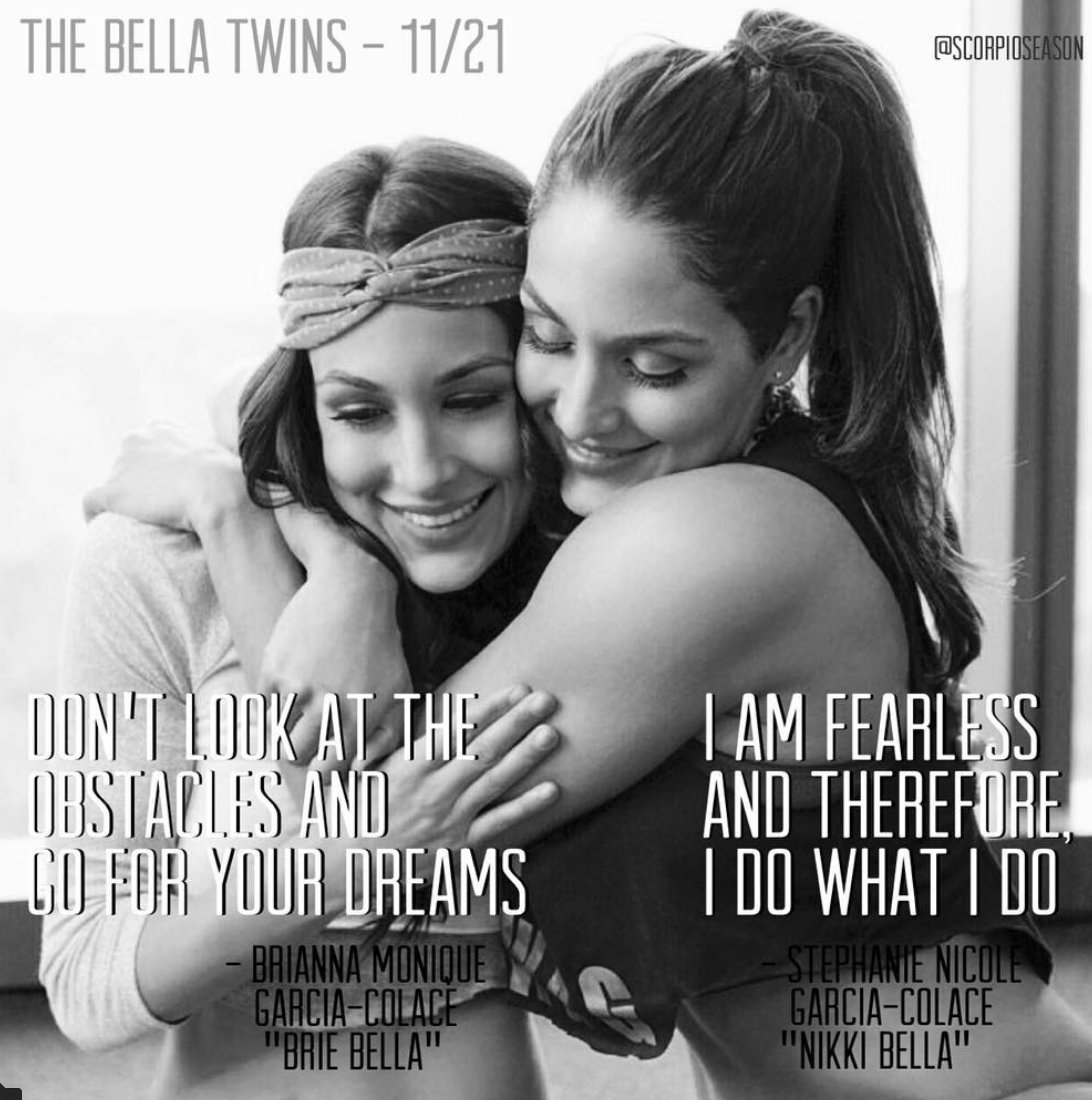 Happy Birthday to Nikki and Brie Bella       